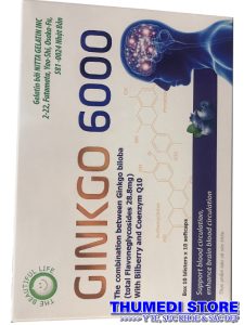 Ginkgo 6000 – Hỗ trợ bảo vệ và tăng cường tuần hoàn, lưu thông máu não