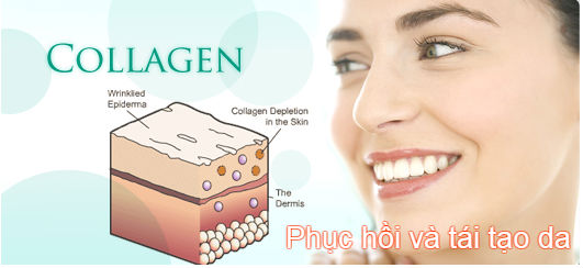 Collagen. THUMEDI STORE_A1